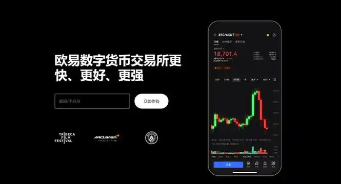 虚拟币APP平台展示图